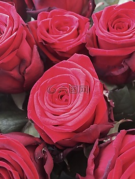 玫瑰,鮮花,花束