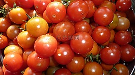 蕃茄,櫻桃番茄,蔬菜