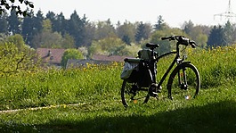 自行車,騎自行車,景觀