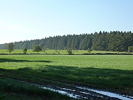 dithmarschen,景观,草地
