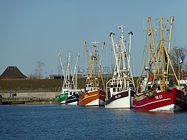 friedrichskoog 端口,蝦,friedrichskoog