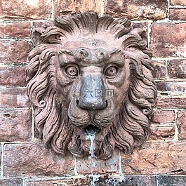 獅子,噴泉,水