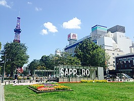 札幌,日本,城市