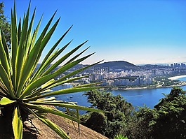 鑒于從舒格洛夫,弗拉門戈海灘,弗拉門戈公園