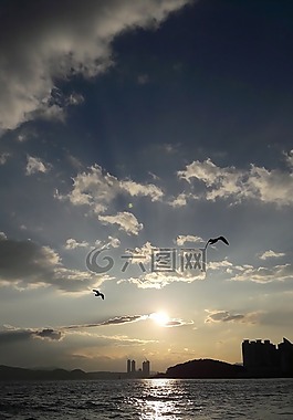 海,夜晚的天空,發(fā)光