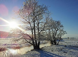 冬天,rim 公司,自然