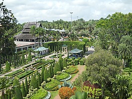 公園,花園,植物