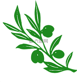 橄,橄欖樹(shù),自然