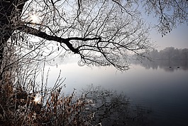 冬天,湖,心情