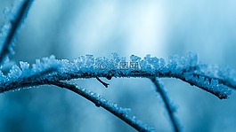 冰,eiskristalle,弗羅斯特