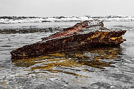 木材,海,海灘