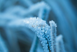 冰,eiskristalle,弗羅斯特