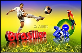 足球,巴西,2014 世界杯