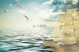 帆船,海鷗,船舶