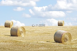 诺福克,稻草,滚