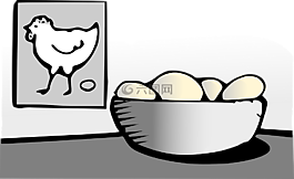 雞蛋,食品,雞