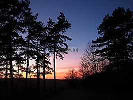 日落,森林,abendstimmung