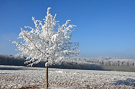 雪,太阳,冬天