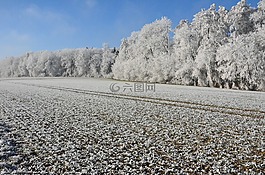 雪,太阳,冬天