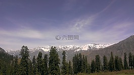 雪,山,自然