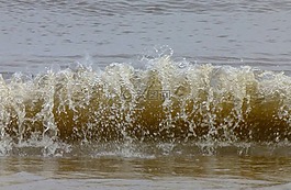 水,易北河,波