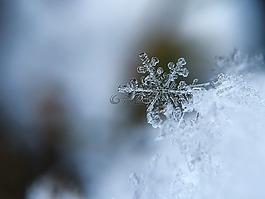 雪花,雪,水晶