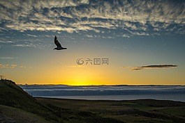 日落,海洋,云