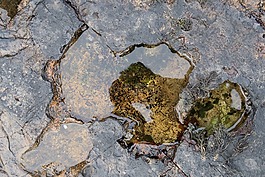 皮埃爾 ·,水,景觀