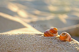 海灘,砂,性質(zhì)