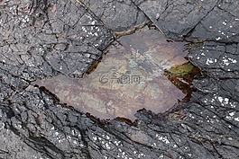 皮埃爾 ·,水,景觀