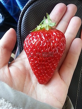 紅色,水果,食品