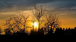 日落,剪影,abendstimmung