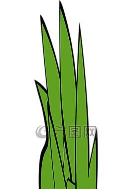 葉片的草,草,雜草