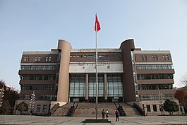 大學(xué),圖書,讀書
