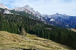 秋,秋天,山