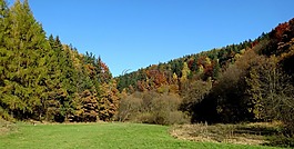 親子鑒定國(guó)家公園,景觀,波蘭