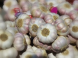大蒜,廠,性質(zhì)