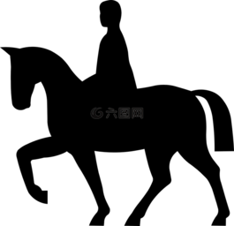 馬,騎手,馬術