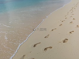 足跡,海灘,水