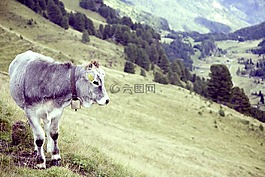 山,高山,戶(hù)外