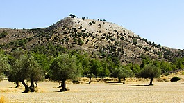 景觀,農(nóng)村,夏天