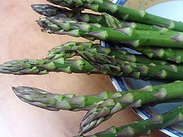 蘆筍,trigueros,食品