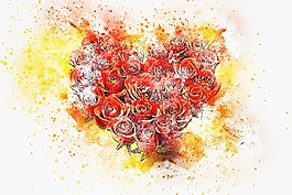 花,花束,藝術(shù)