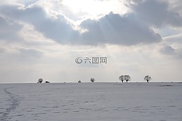 冬季,雪,弗羅斯特