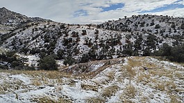山,森林,徒步旅行