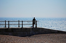 漁,碼頭,海洋