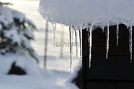 雪,冰柱,冬天