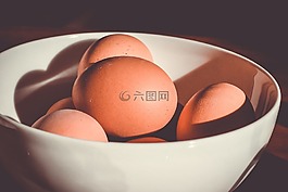 碗,雞蛋,食品