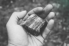 黑色和白色,模糊,手指