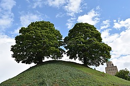 牛津大學(xué),樹,天空